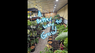 A better greenhouse