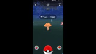 Live Pokémon GO