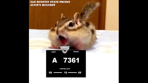 KCHP Post-Trial Interviews with Alvin the Chipmunk