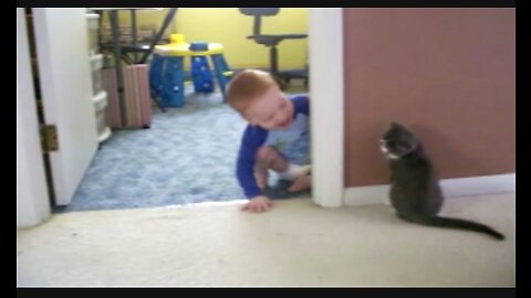 Adorable Fluffy Cat Helps Baby Take First Step