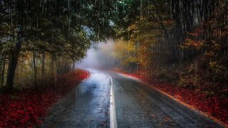 Deep Sleep ASMR | Soothing Piano & Rain Sounds with Autumn Road View | Ultimate Stress Relief