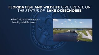 FWC presenting new Lake Okeechobee management plan