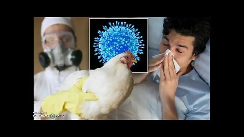 CDC Reports First Human Case Of Avian Influenza In U.S.!