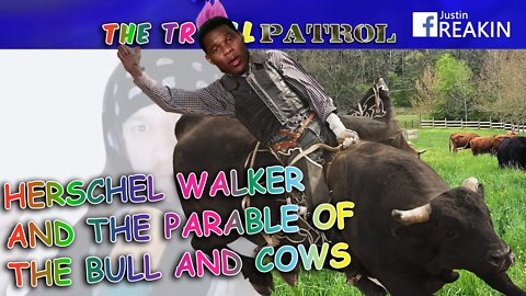 GA Senate Candidate Herschel Walker Tells Bizarre Story About Bulls And Cows