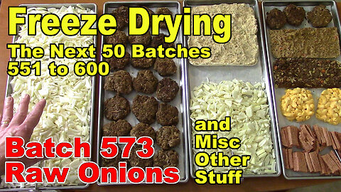 Freeze Drying - The Next 50 Batches - Batch 573 - Sister's Raw Onions and Misc Other Stuff