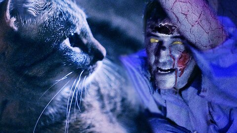 Cat VS Zombie Fight Video