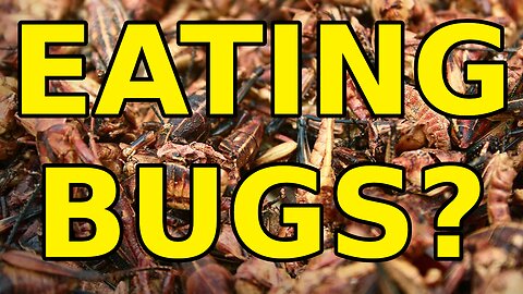 Why We Won't be Eating Bugs in the Future