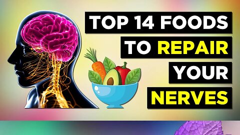 Top 14 BEST Foods For Your Nervous System (Neuropathy)
