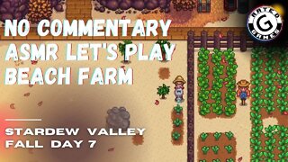 Stardew Valley No Commentary - Family Friendly Lets Play on Nintendo Switch - Fall Day 7