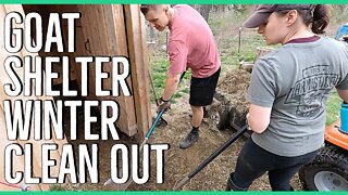 Goat Shelter Winter Clean Out ||So Much Wasted Hay!||