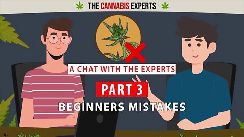 Beginners Mistakes Growing Cannabis | A Chat With The Experts!