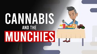 Why CANNABIS gives you the MUNCHIES...