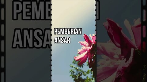 Kaum Muhajirin mengembalikan lagi kepada kaum Ansar pemberian mereka