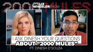 I Ask Dinesh Your Questions About “2000 Mules” ft. Dinesh D’Souza | The Liz Wheeler Show