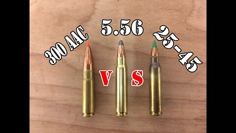 5.56 vs 25-45 Sharps vs 300 AAC Blackout... Head to Head