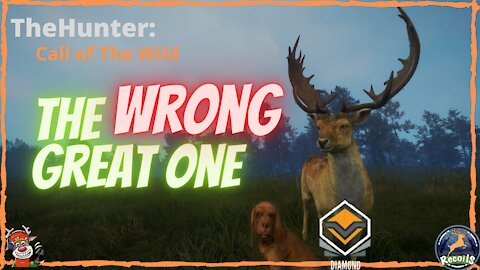 COTW: Hunting for the wrong new great one! 2 potential Diamond Fallow!