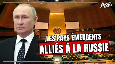 Les pays émergents soutiennent-ils vraiment la Russie ? [Didier DARCET]