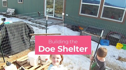Days away from bringing the goats home! We have our Doe Shelter built.