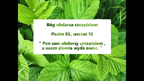 Bóg obdarza szczęściem - Psalm 85, werset 13