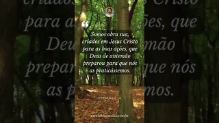 Efésios 2,10 - Somos obra sua, criados em Jesus Cristo para as boas ações, que Deus de antemão prepa