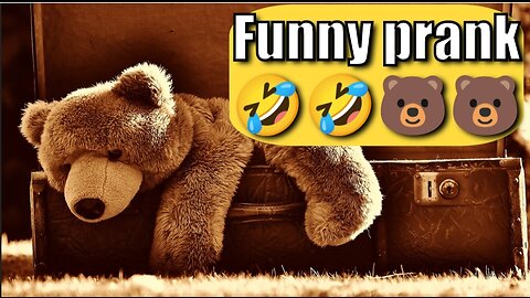 Funny prank 🤣🤣🐻🐻