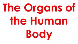 Organs of the human body flash cards preschool and toddlers