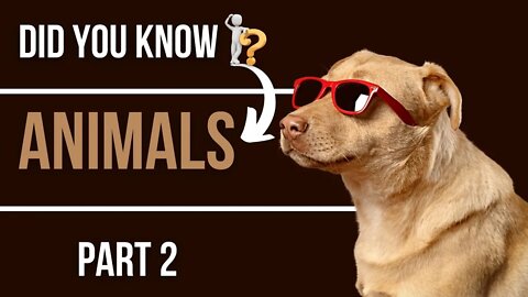 Interesting Facts About Animals You Should Know. (Part 2)