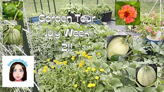 Garden Tour July Week 2 #bcl