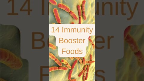 14 Foods That'll Boost Your Immune System