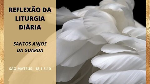 Reflexão da Liturgia Diária | Santos Anjos da Guarda - 02/10/21