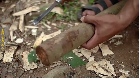 Man lives in the rain forest all year round and uses natural tree holes as shelter/Episode14