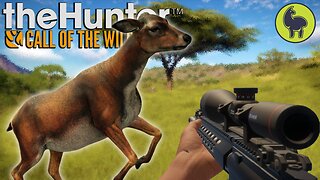 Does and Donts, Hunt Club Beta | theHunter: Call of the Wild (PS5 4K 60FPS)