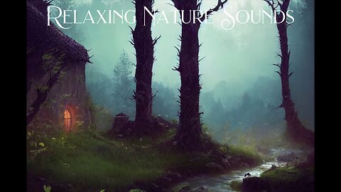 Relaxing Nature Sounds, Forest Sounds, Bird Sounds, Gentle Stream Sounds