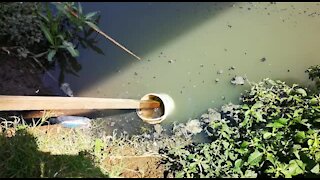 SOUTH AFRICA - Durban - Oil leaks into river (VIdeos) (jDe)