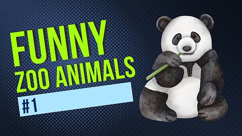 Funny Zoo Animals #1 ~ Crazy New Fails ~ Aug 2023