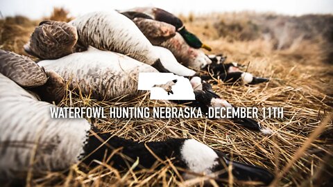 Nebraska Waterfowl Hunting: December 11th | Outdoor JACK