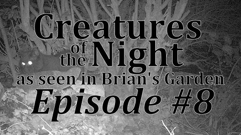 Creatures of the Night 08