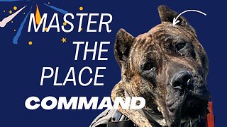 Dog Training Place Command