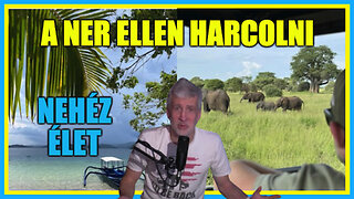 A NER ellen harcolni nehéz élet - Hobbista Hardcore 24-01-24/1