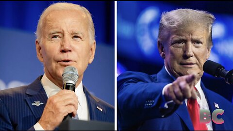 Trump, Biden both tumble in Iowa: poll