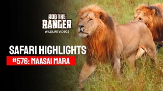 Safari Highlights #576: 25 December 2020 | Maasai Mara/Zebra Plains | Latest Wildlife Sightings