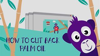 War on Palm Oil: 5 steps to saving the orangutans