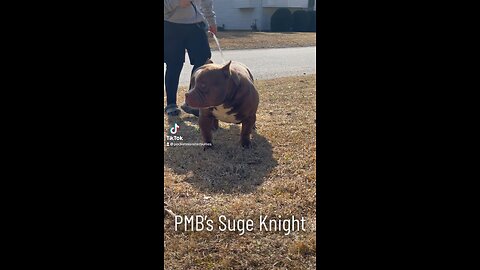 PMB’s Suge Knight