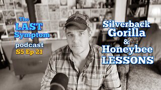 S5 Ep 21: Silverback Gorilla & Honeybee Lessons