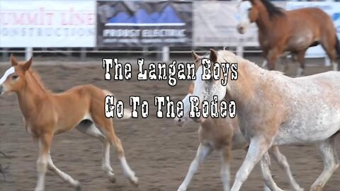 Chris Langan - The Langan Boys Go to the Rodeo - FAQs About Reality