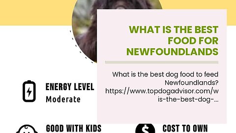 What is the best food for Newfoundlands dogs?
