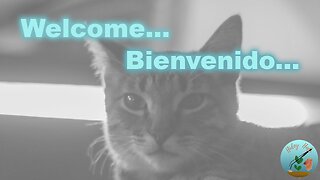 Welcome... (Bienvenido...)