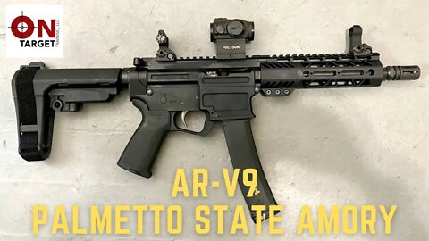 AR-V 9 Pistol Review (table top)