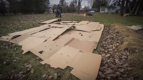 Cardboard Mulching for more garden space in spring | The Homestead E38 S1