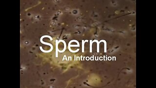 Sperm: An Introduction